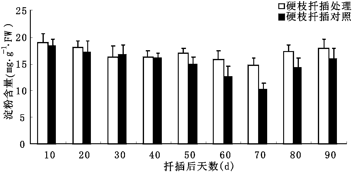 5.2 結(jié)果與分析